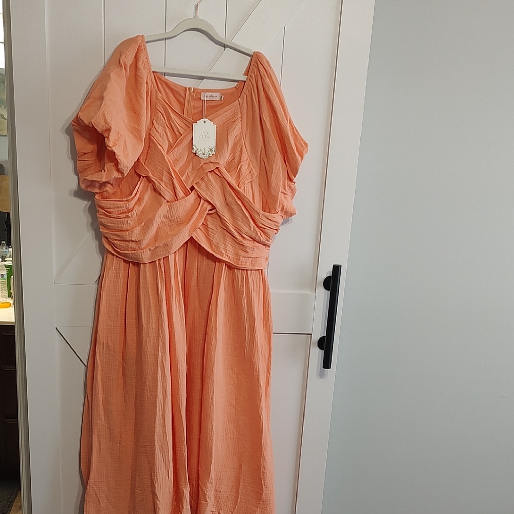 Ivy City Co Coral Textured Dress